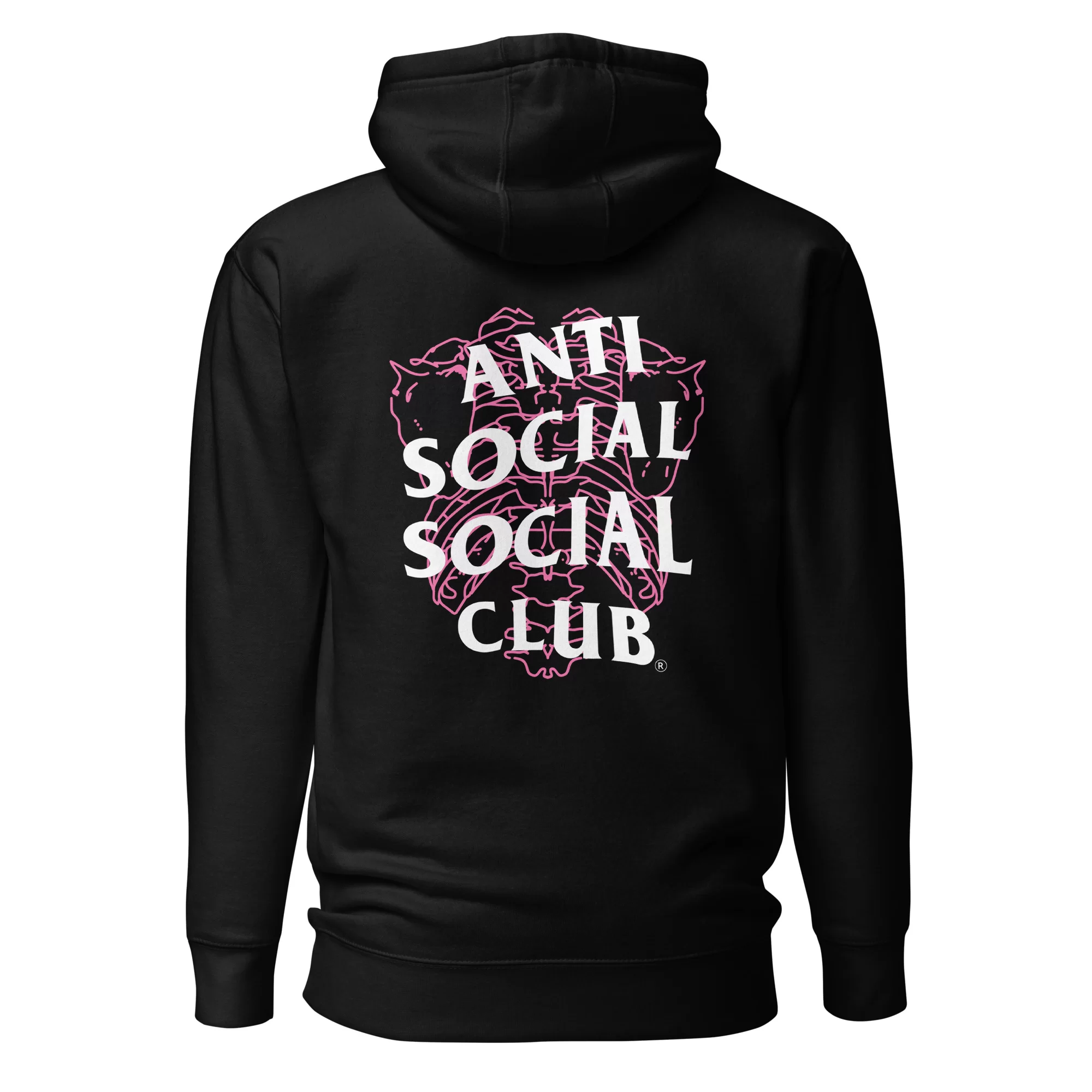 Introduction to ASSC Hoodie
