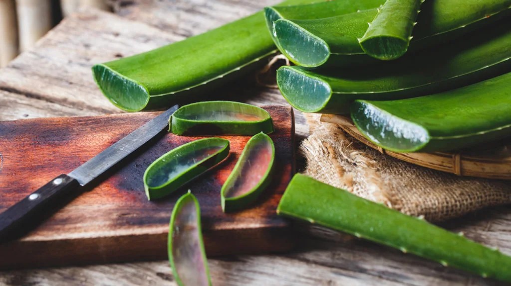 Is Aloe Vera healthy for men’s health?