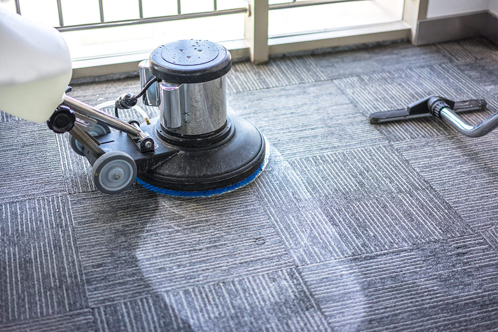 How to Choose the Right Carpet Cleaning Package in Mosman?
