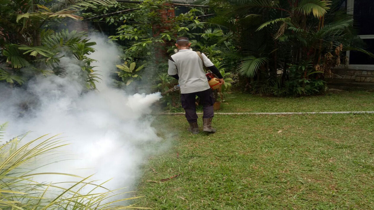 What Are the Primary Differences Between Manual and Automatic Mosquito Control?