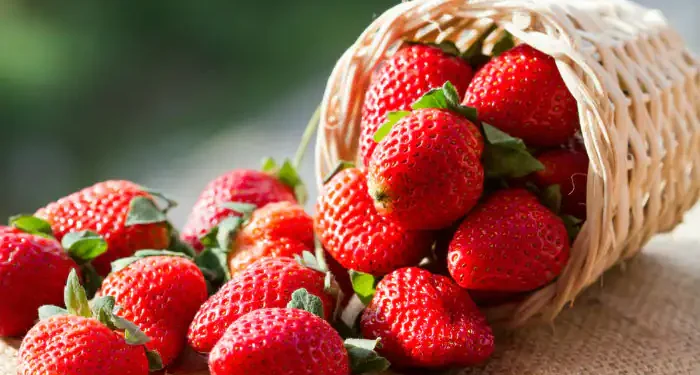 Are Strawberries Healthy for Men?