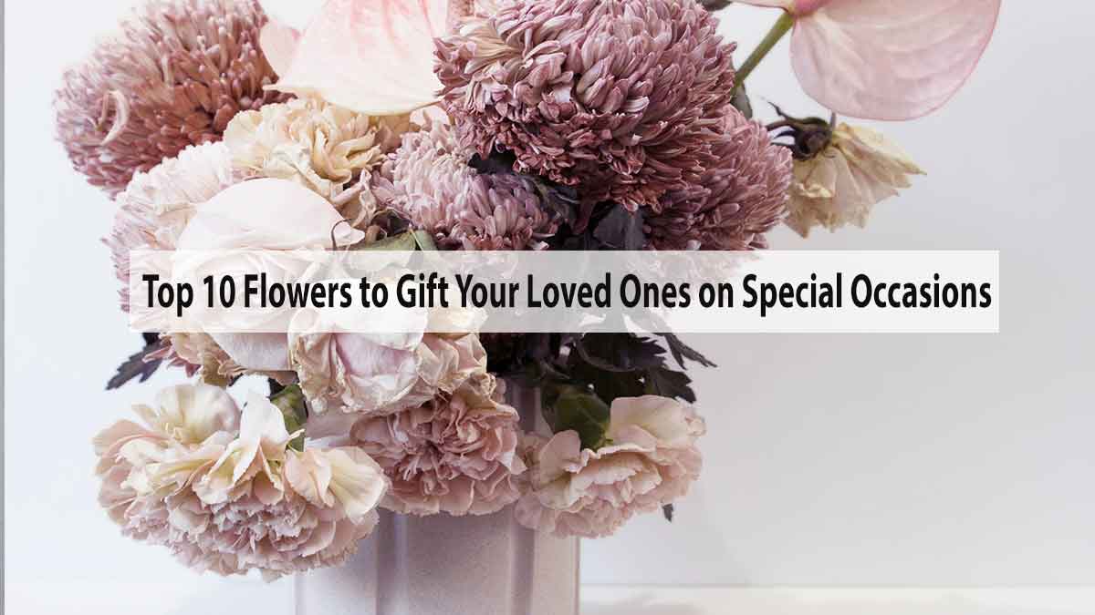 Top 10 Flowers to Gift Your Loved Ones on Special Occasions