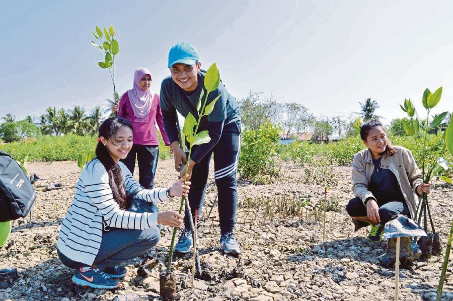 The Role of Education in Tackling Climate Change: Innovative Approaches to Environmental Education and Sustainability